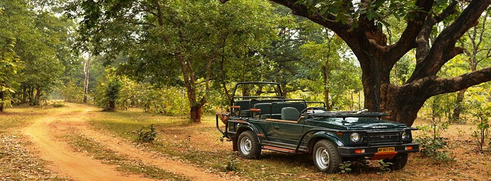 2170/Syna Tiger Resort - Bandhavgarh 13.jpg